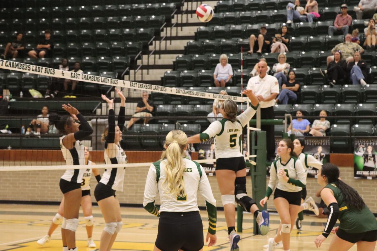 Viva la Volleyball