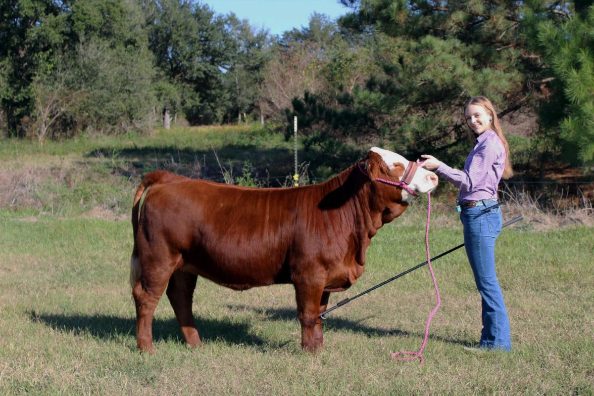 FFA wins GCC buckles