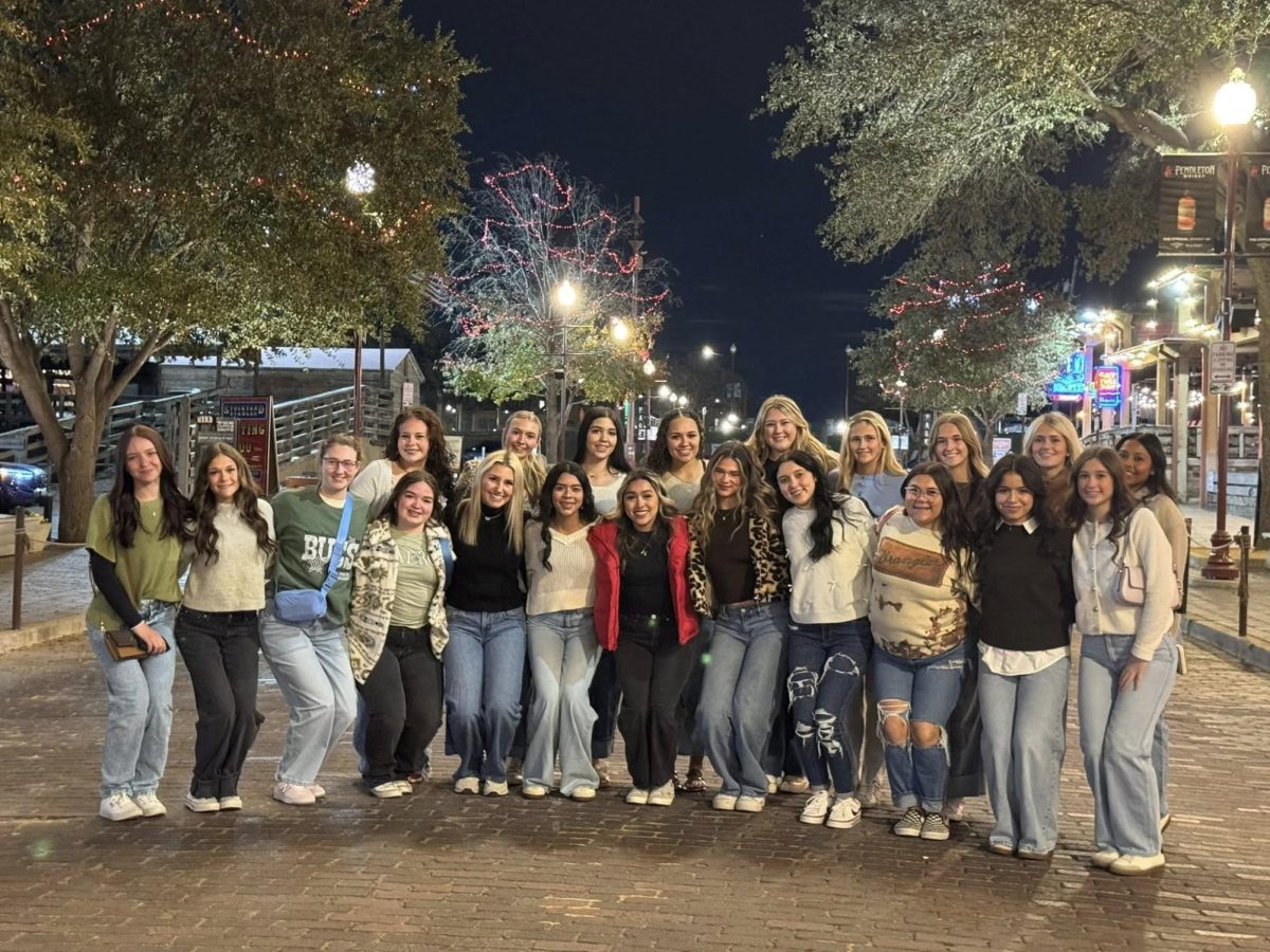 Cheer competes at State
