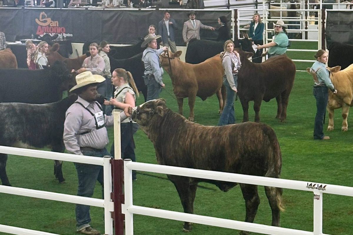 FFA wins big in San Antonio