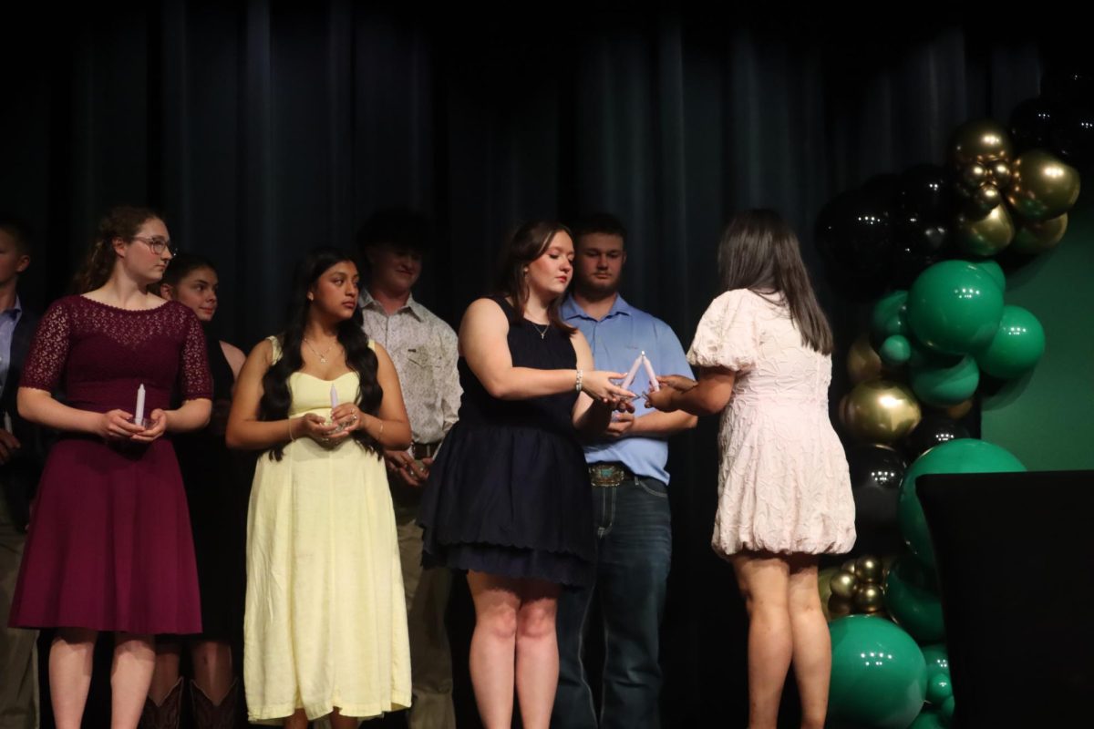 NHS inducts new members